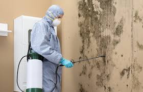 Forensic Mold Investigation